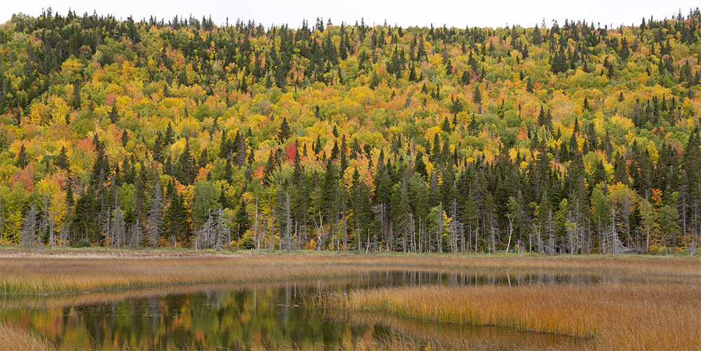Autumn landscape in Maritime Quebec, Canada, by Stuart Forster.